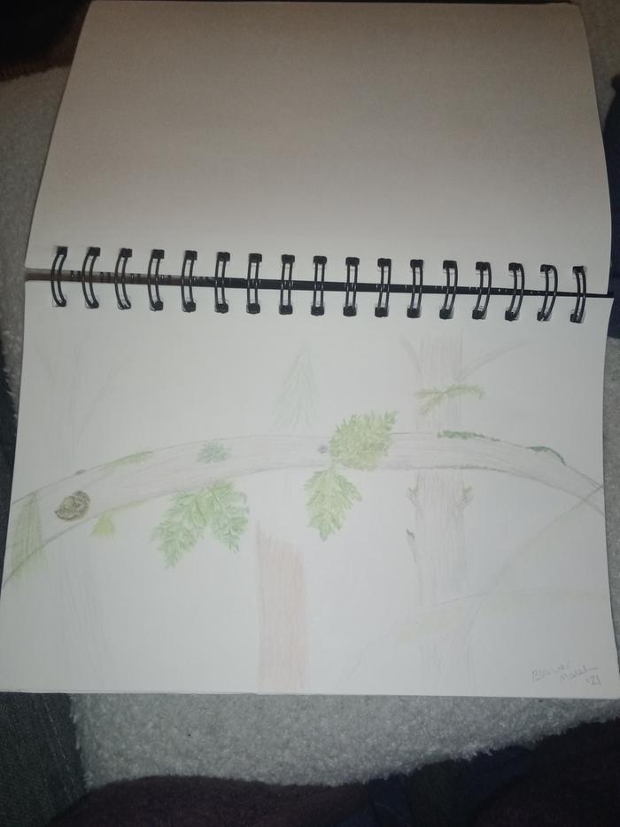 [Thumbnail for IMG_20260127_192741690.jpg]