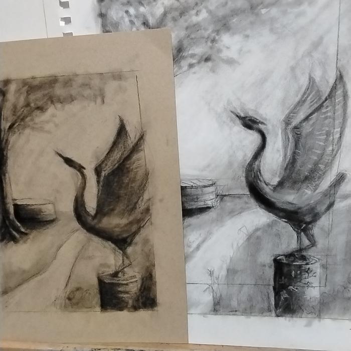 Charcoal value studies