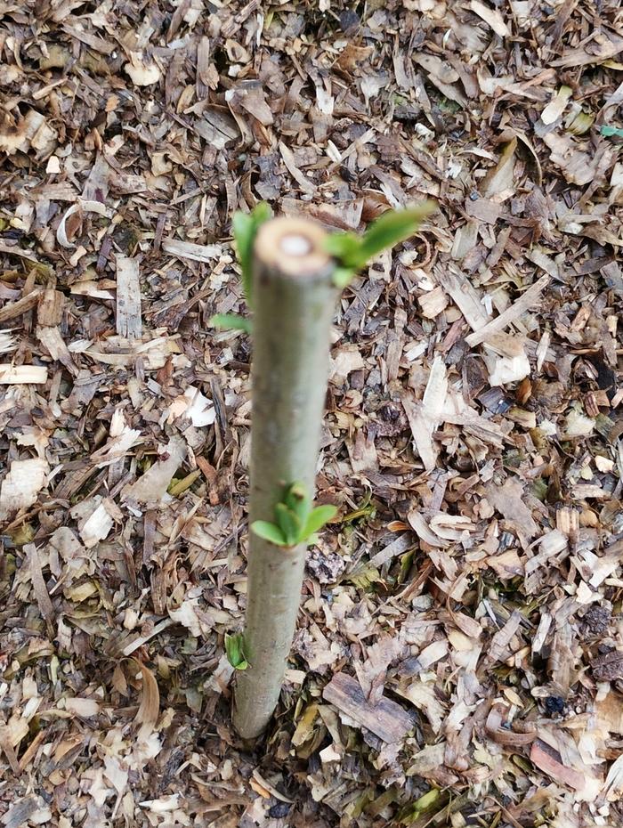 [Thumbnail for IMG_20260413_150452_SR.jpg]