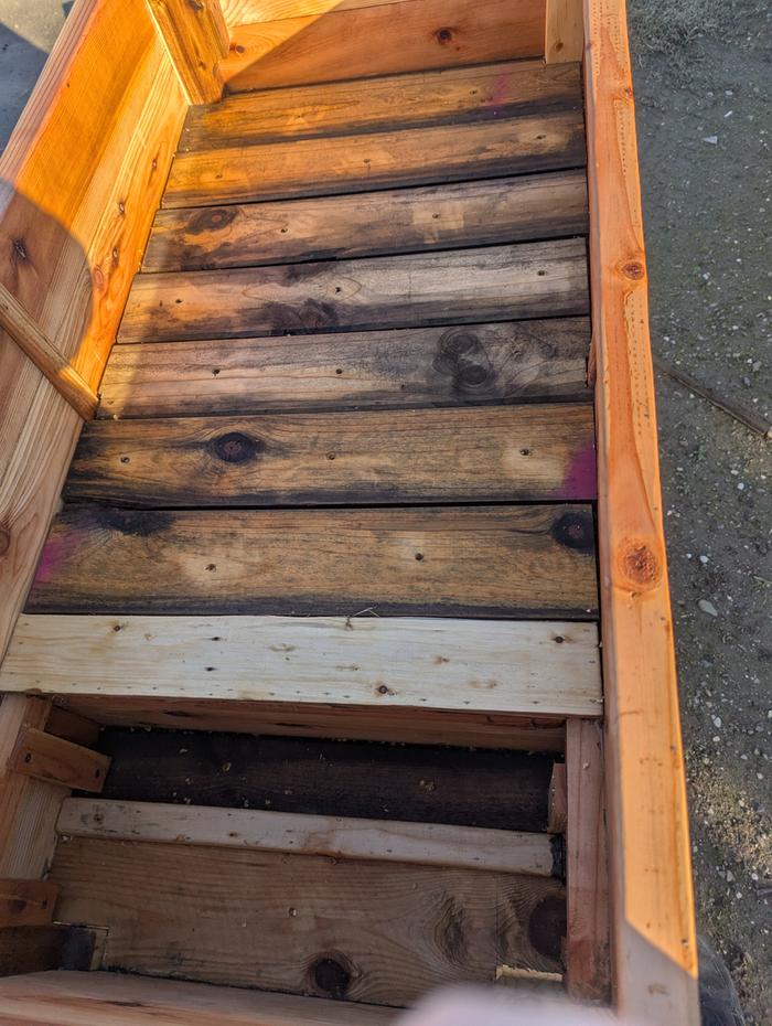 [Thumbnail for PXL_20260109_224619127.jpg]