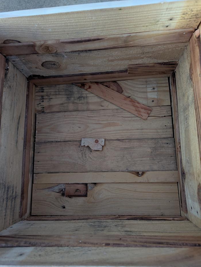 [Thumbnail for PXL_20260320_023108755.jpg]