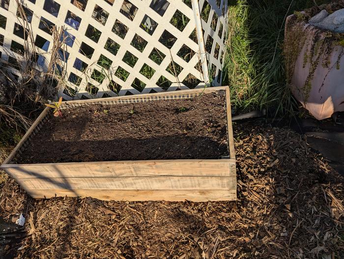 [Thumbnail for PXL_20260403_011430053.jpg]