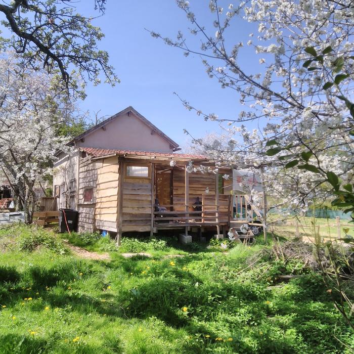 &amp;#91;TinySpring.jpeg&amp;#93;