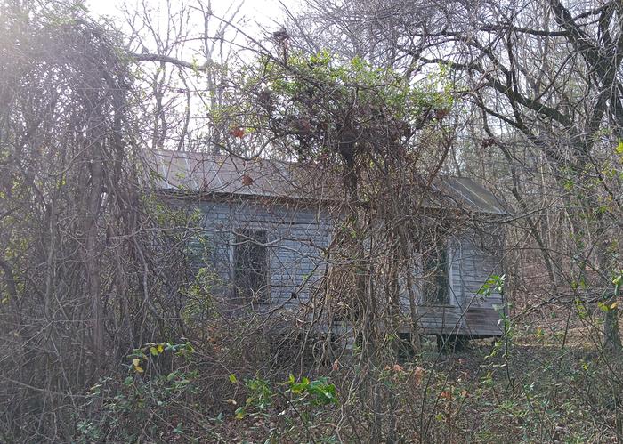 [Thumbnail for IMG_20260101_112105_294-2.jpg]