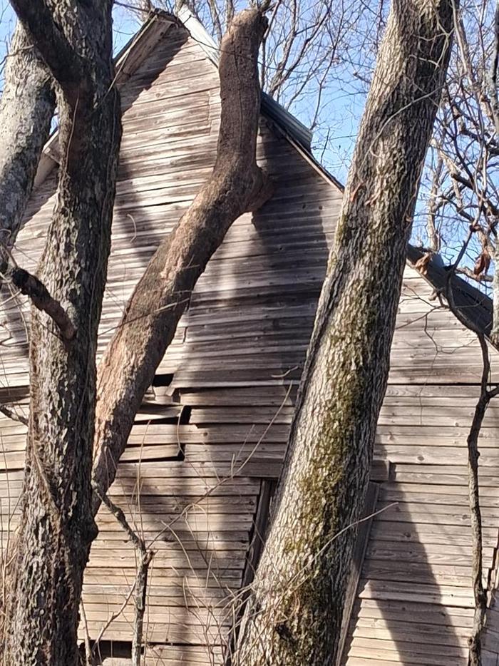 [Thumbnail for image000002.jpg]