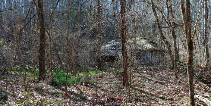 [Thumbnail for IMG_20260103_043149.jpg]