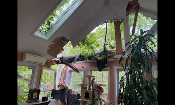 [Thumbnail for Screenshot_20260102_202540_Photos.jpg]