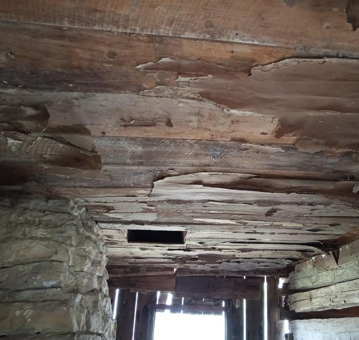 [Thumbnail for IMG_20260107_113351_479-2.jpg]