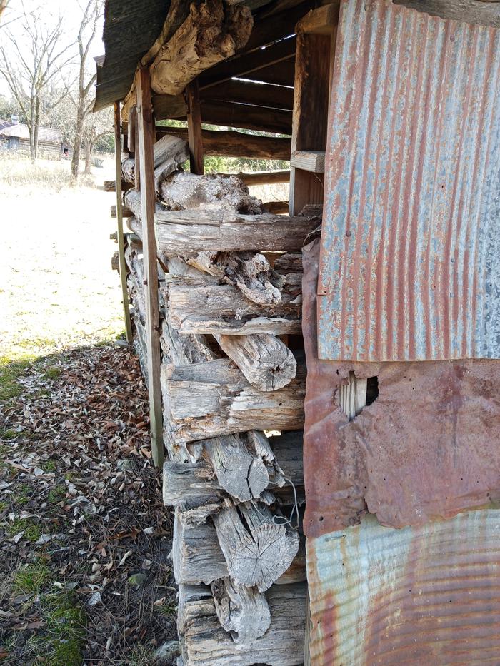 [Thumbnail for IMG_20260107_112756_202.jpg]