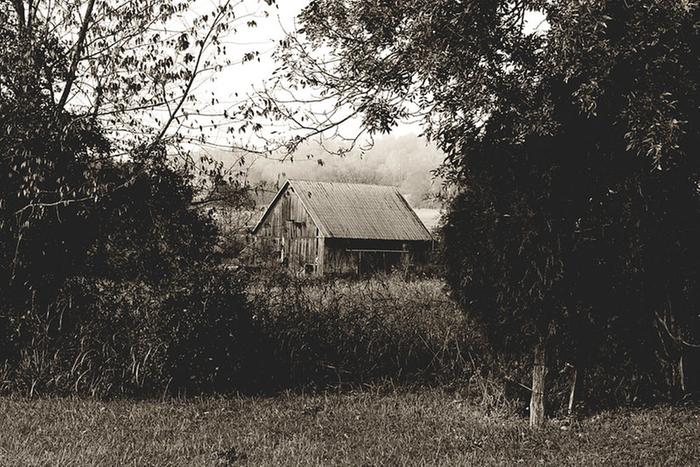 [Thumbnail for 53875146650_55d365e8d3_c.jpg]