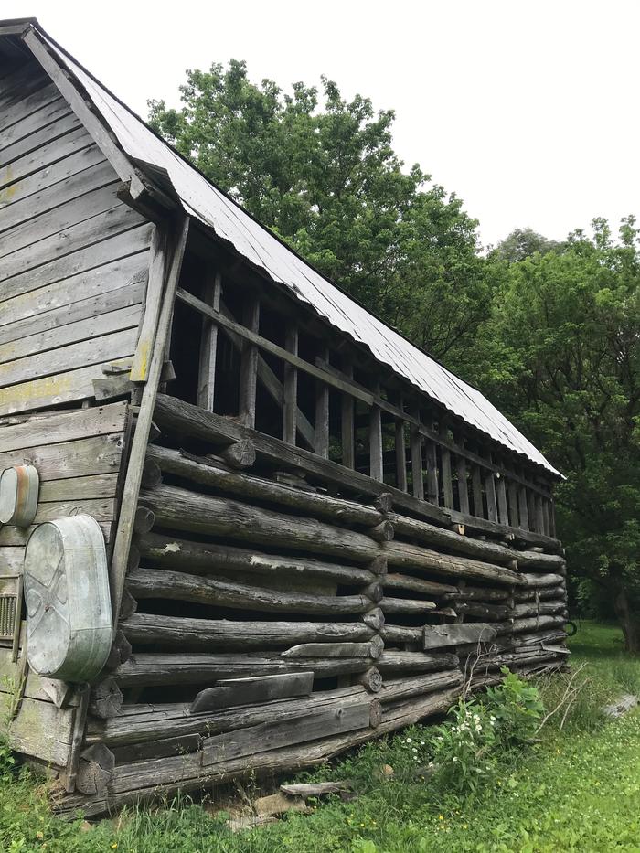 [Thumbnail for IMG_7077.jpeg]