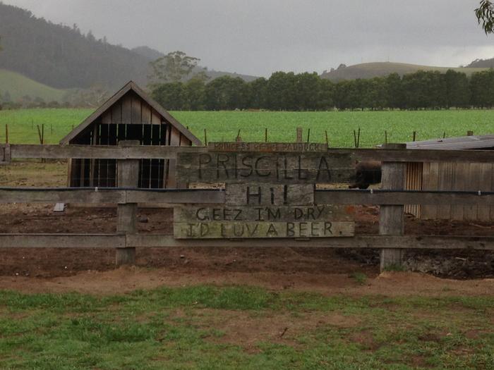 [Thumbnail for Pub-in-the-Paddock-Shed-made-into-pigsty.JPG]