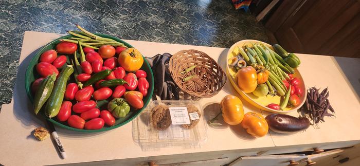 [Thumbnail for 20250525_181924.jpg]