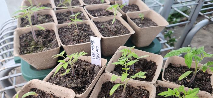 [Thumbnail for 20250208_065833.jpg]