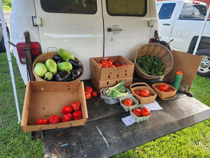 [Thumbnail for 20250614_091203.jpg]