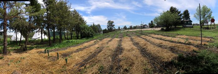 [Thumbnail for IMG_7151.jpeg]