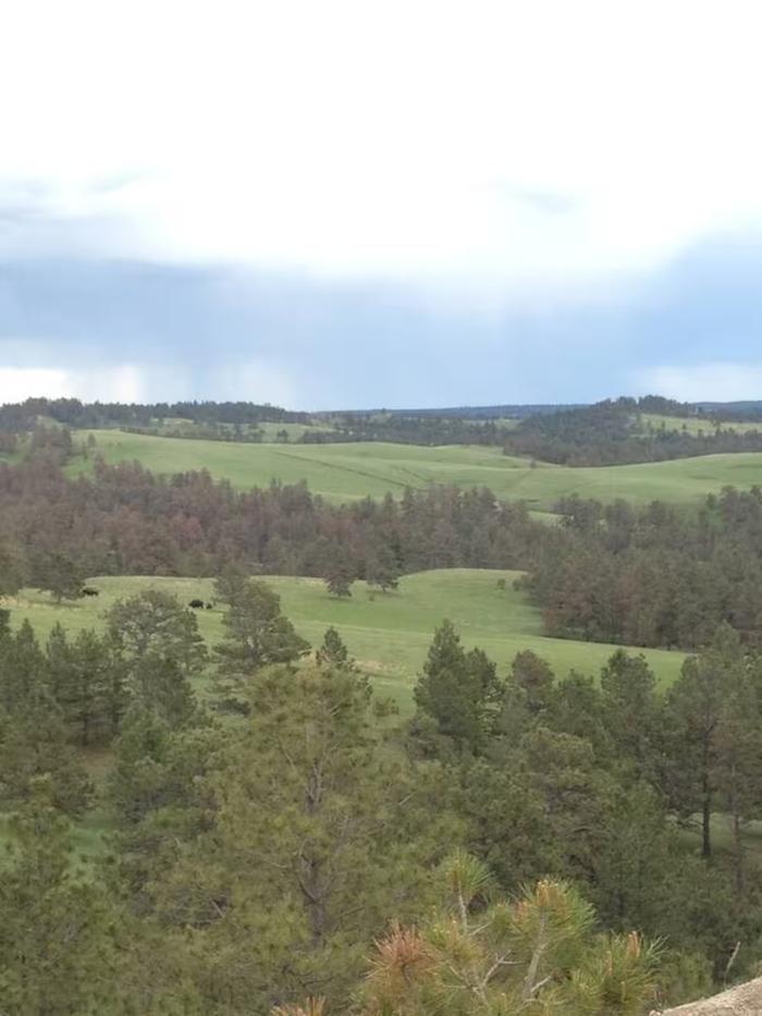 [Thumbnail for Scenic-View.jpeg]