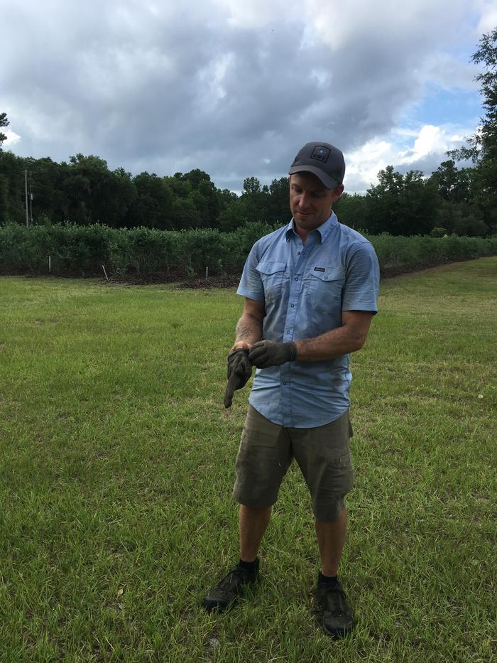 [Thumbnail for Berries.JPG]