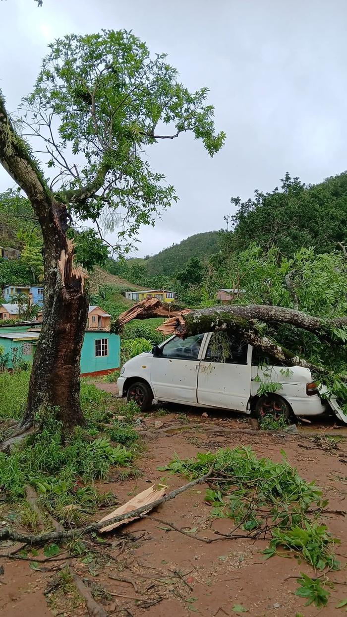 [Thumbnail for FB_IMG_1762004289646.jpg]