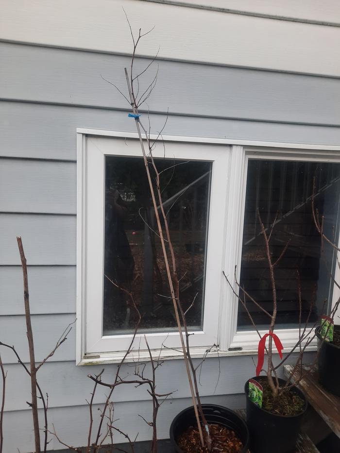 [Thumbnail for 20260305_072912.jpg]