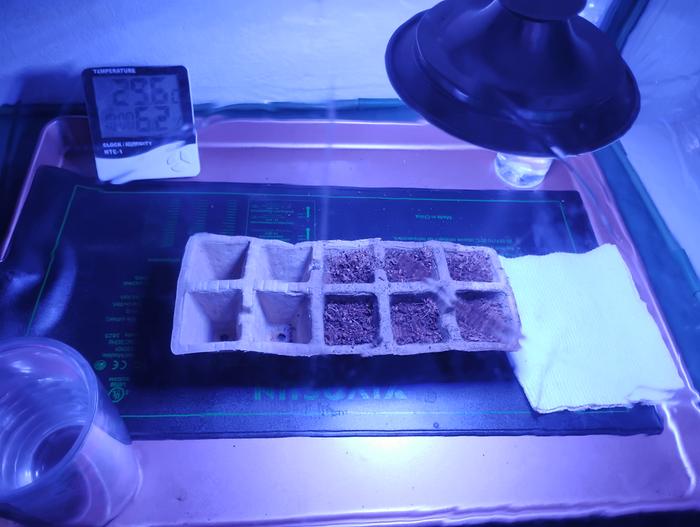 [Thumbnail for IMG_20260105_205536040.jpg]