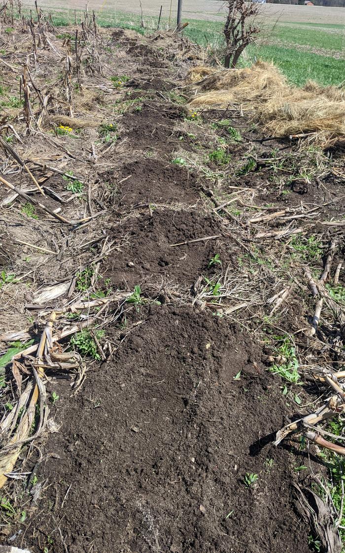 corn hills spring prep