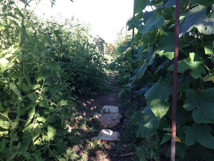 [Thumbnail for IMG_0888.jpg]