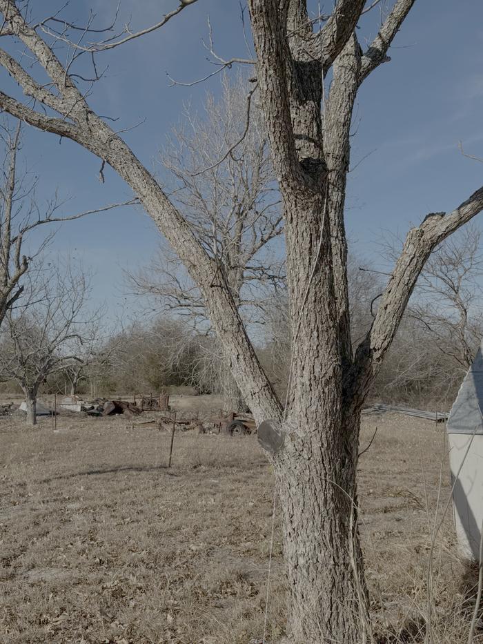 [Thumbnail for IMG_0975.png]