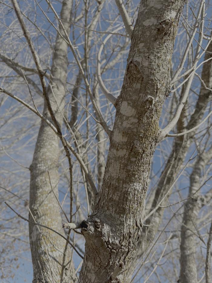 [Thumbnail for IMG_0974.png]