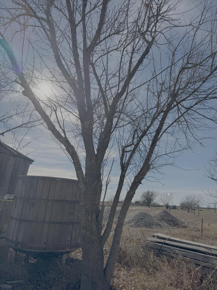 [Thumbnail for IMG_0972.png]