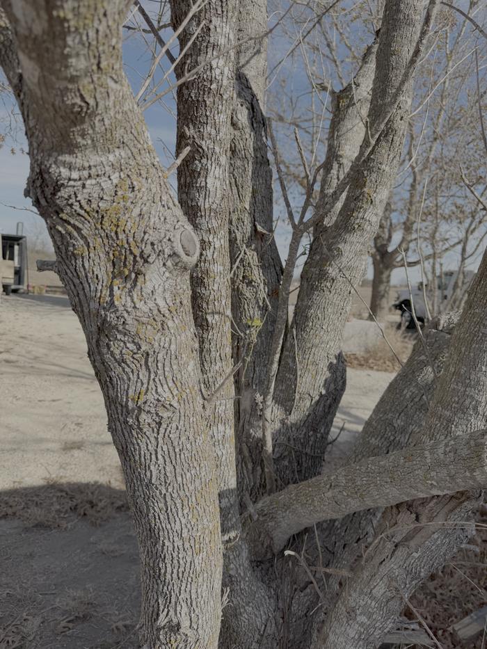 [Thumbnail for IMG_0973.png]