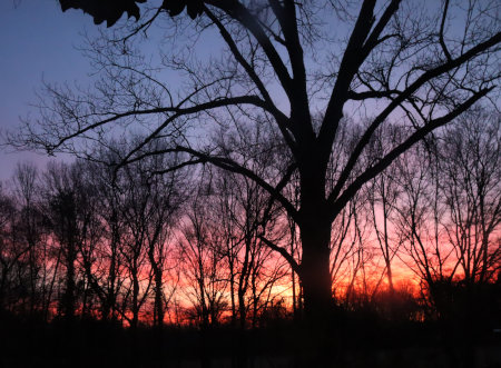 another January sunrise