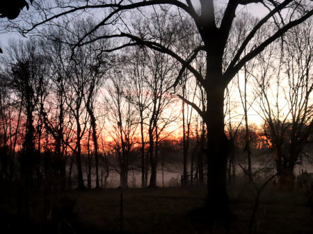 and yet another January sunrise