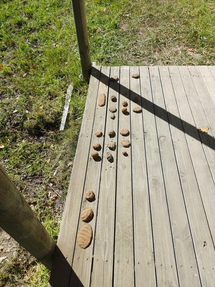 [Thumbnail for 2026-04-2612.48.394205270642949556917.jpg]