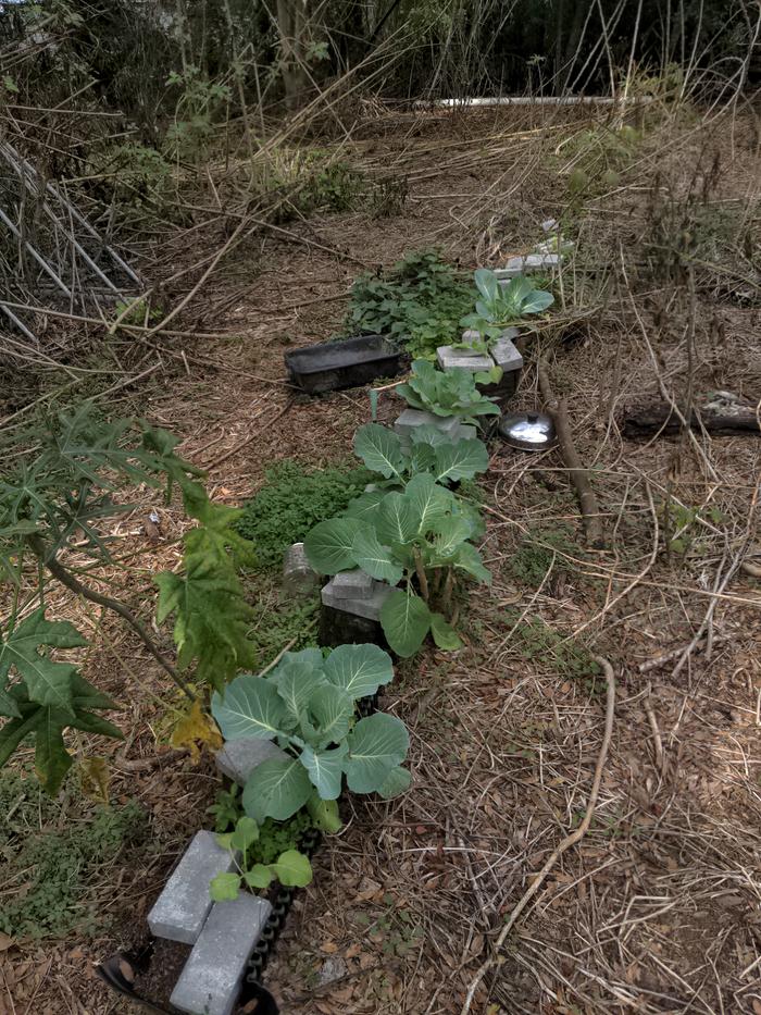 [Thumbnail for 2026-01-13-13-58-58-918.jpg]