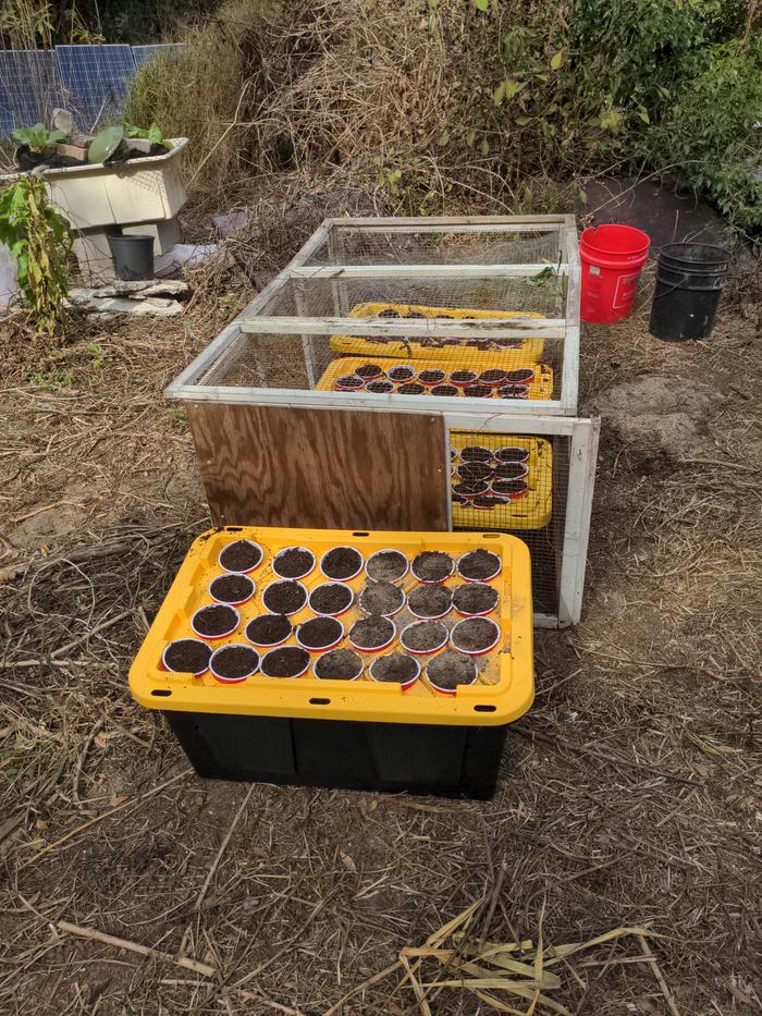 [Thumbnail for 2026-01-13-13-58-45-409.jpg]