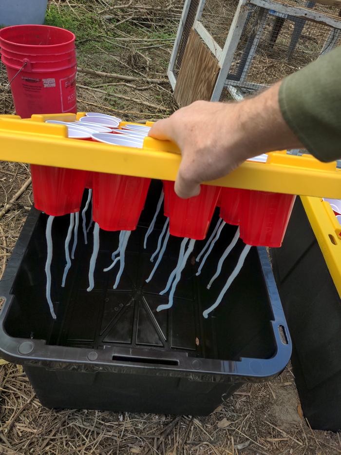 [Thumbnail for 2026-01-13-12-53-37-496.jpg]