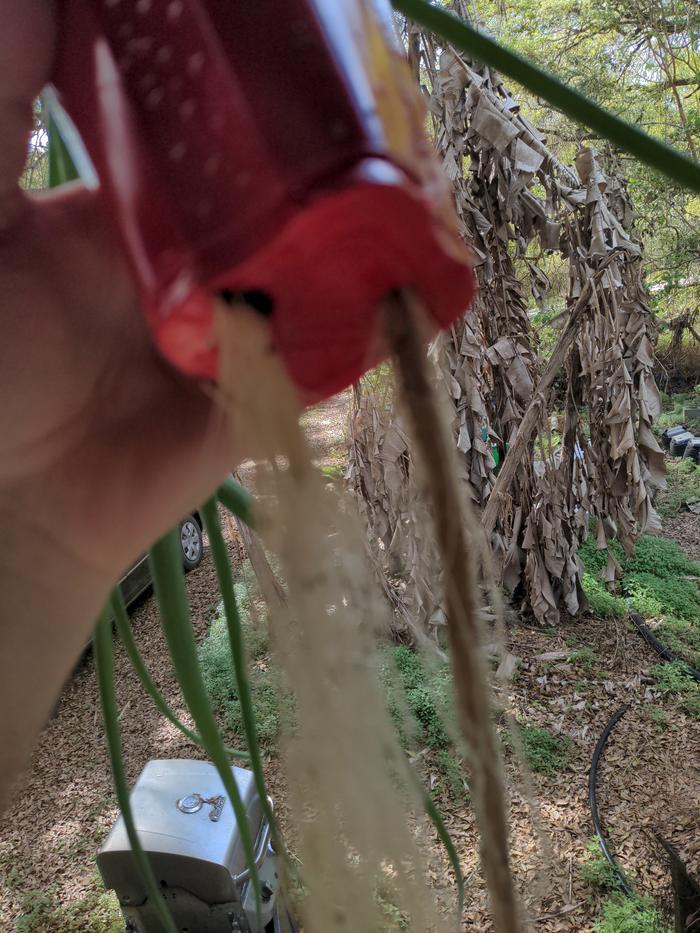 [Thumbnail for 2026-03-10-16-03-40-591.jpg]