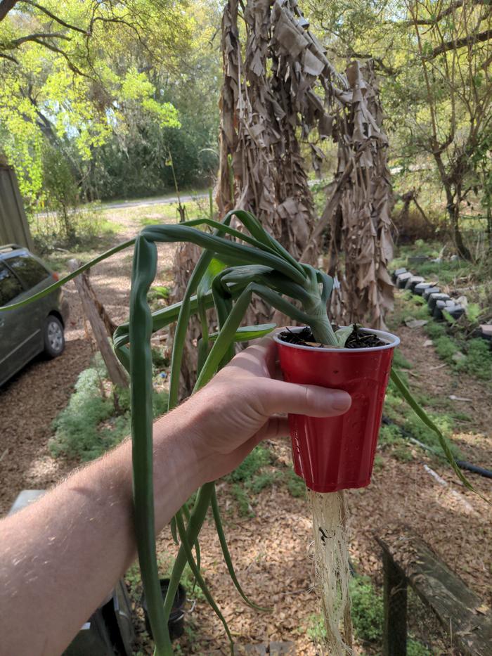 [Thumbnail for 2026-03-10-16-03-35-420.jpg]