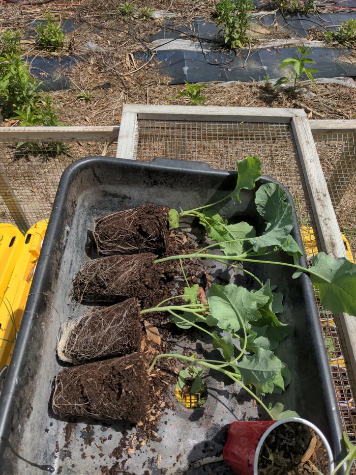 [Thumbnail for 2026-03-17-13-43-06-226.jpg]