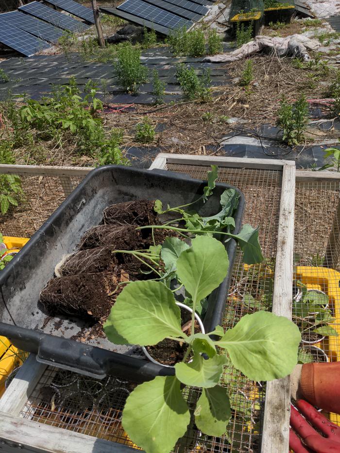 [Thumbnail for 2026-03-17-13-43-02-784.jpg]