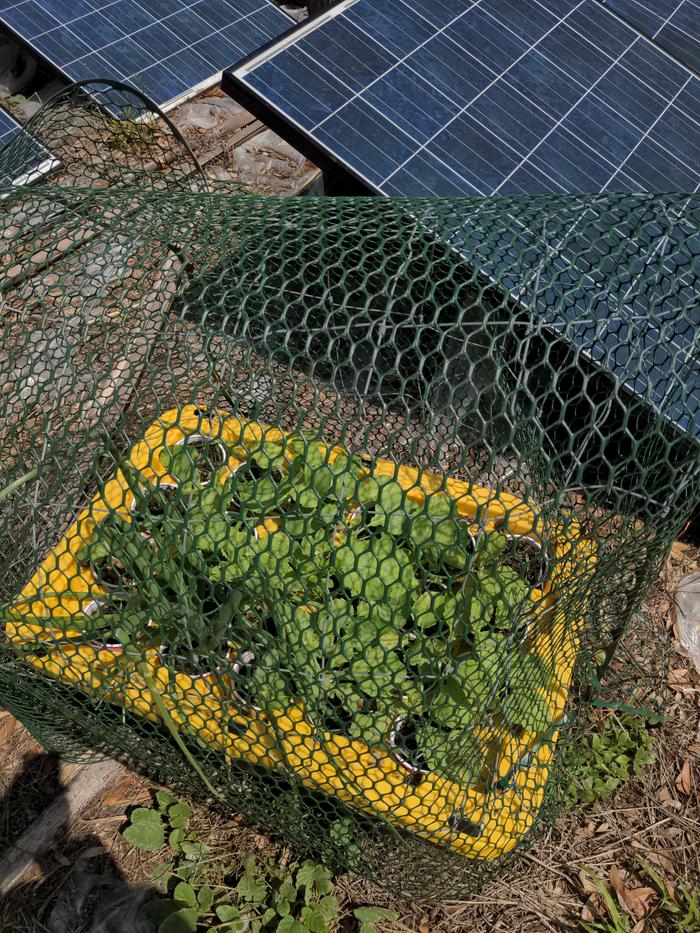 [Thumbnail for 2026-03-17-13-39-37-853.jpg]