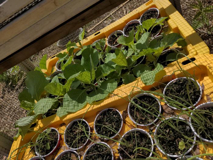 [Thumbnail for 2026-03-17-13-39-19-631.jpg]