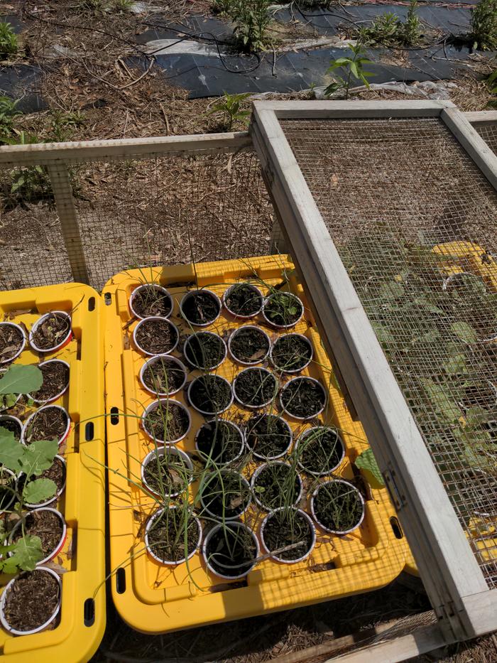 [Thumbnail for 2026-03-17-13-39-11-160.jpg]