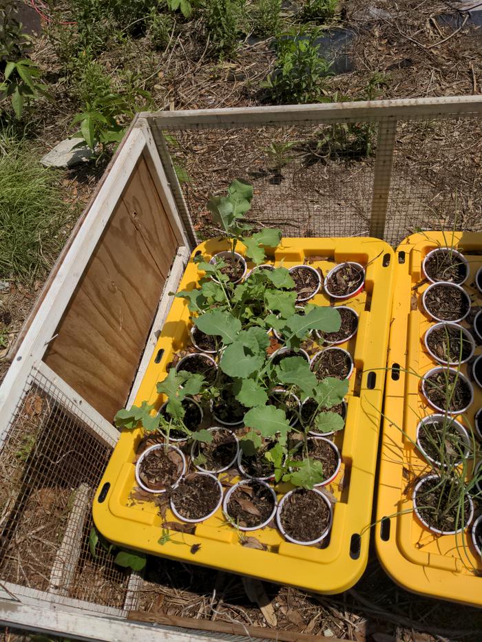 [Thumbnail for 2026-03-17-13-39-07-894.jpg]