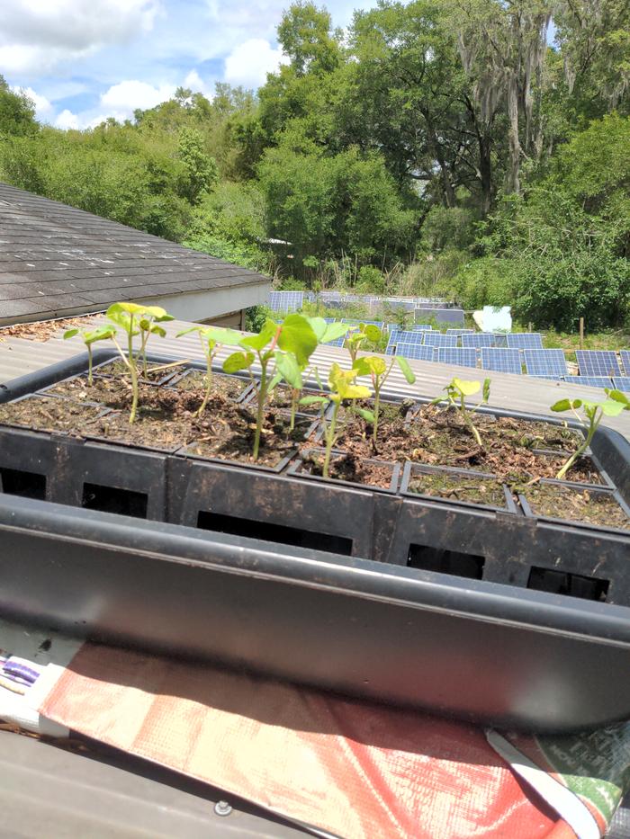 [Thumbnail for 2026-04-19-13-30-46-615.jpg]