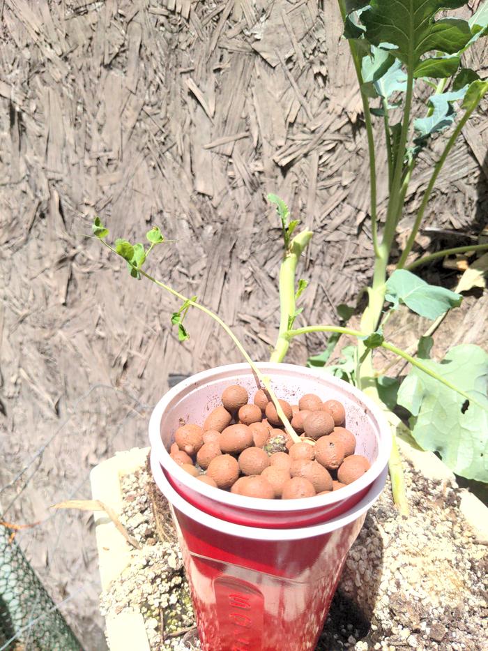 [Thumbnail for 2026-04-19-13-30-24-389.jpg]