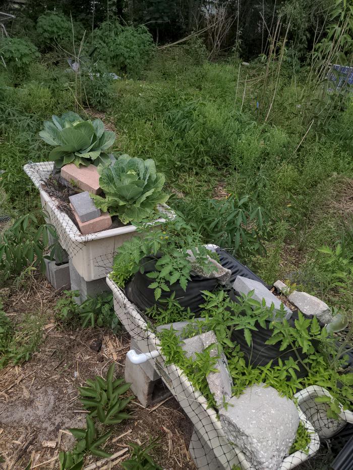 [Thumbnail for 2026-04-19-13-27-43-993.jpg]