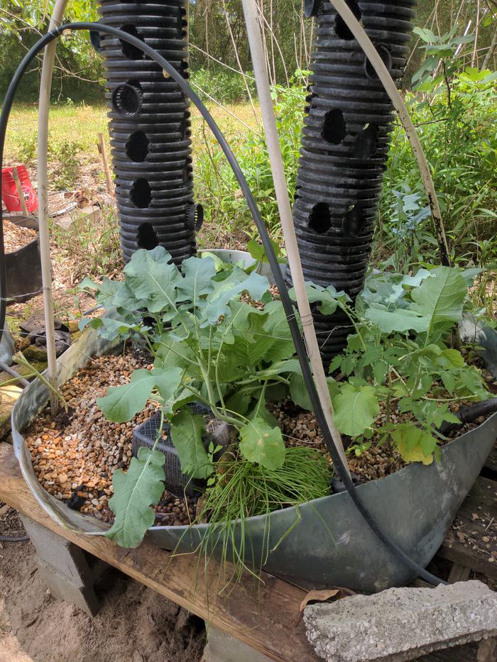 [Thumbnail for 2026-04-19-13-26-29-383.jpg]