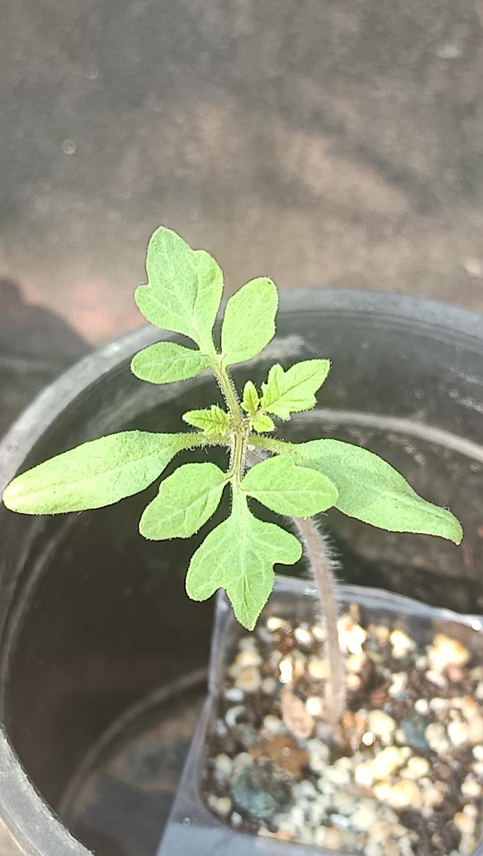 [Thumbnail for IMG_20260116_094135.jpg]